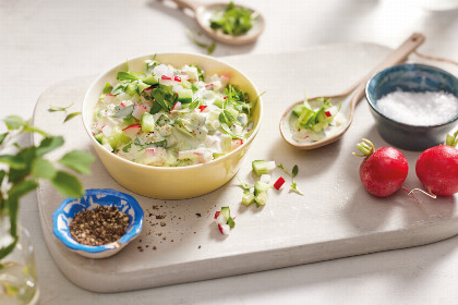 490 leckere Rezepte mit Radieschen