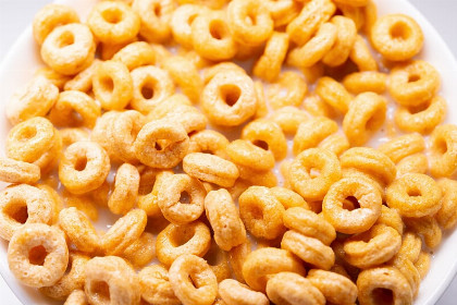 32 Rezepte mit Magermilch