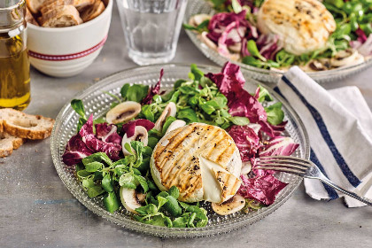 29 Rezepte mit Radicchio