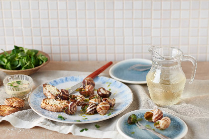11 Rezepte mit Schnecken
