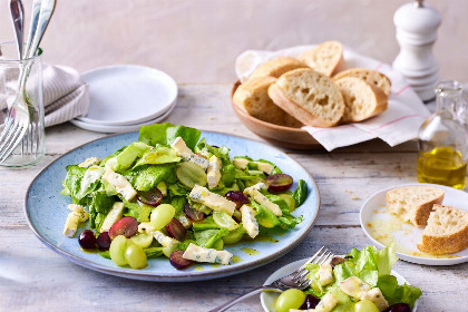 444 leckere Rezepte