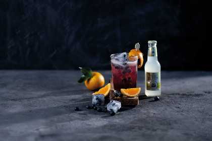 453 Rezepte mit Orangensaftgetränk