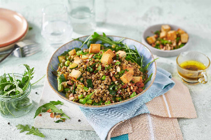 444 leckere Rezepte zum Abnehmen