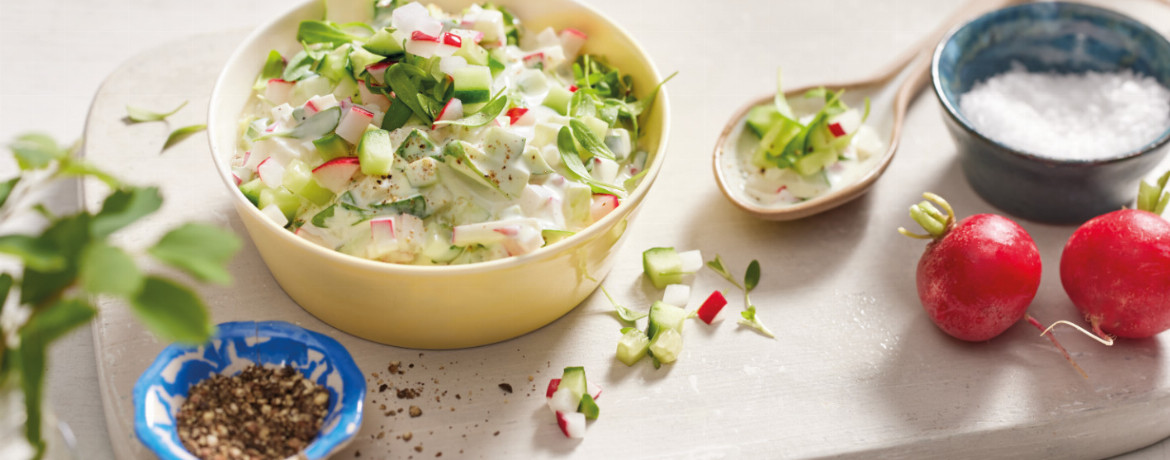 490 leckere Rezepte mit Radieschen