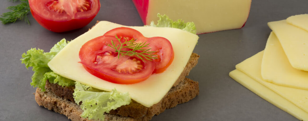 Käse-Toast mit Tomaten