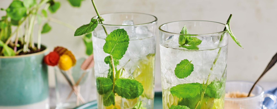 Mojito für 1 Personen von lidl-kochen.de