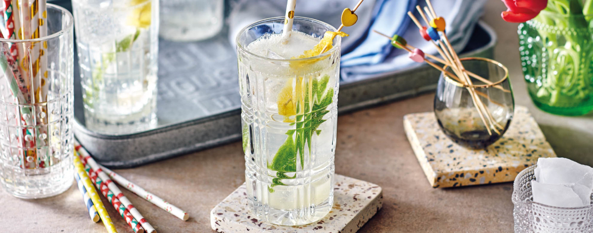 Zitronen-Gin-Tonic für 1 Personen von lidl-kochen.de