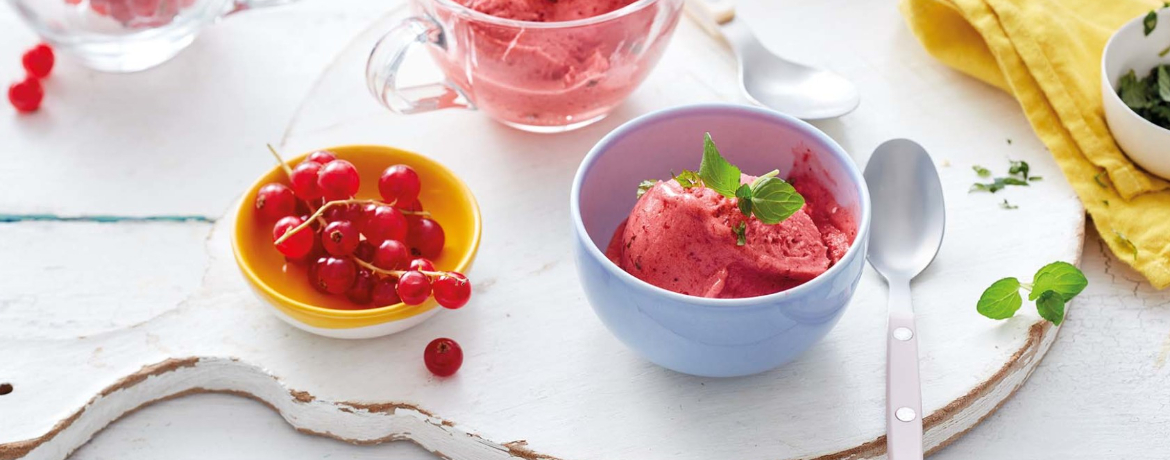 Johannisbeersorbet mit Minze für 4 Personen von lidl-kochen.de