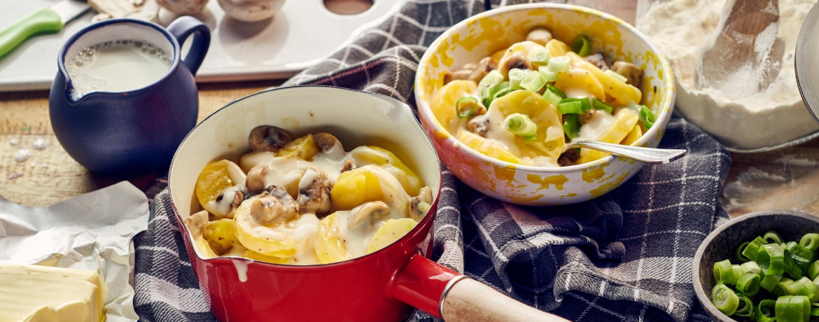 Salzkartoffeln in Champignon-Béchamelsauce für 4 Personen von lidl-kochen.de