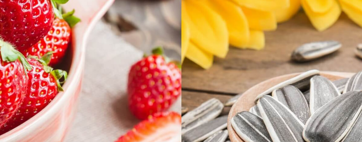 Erdbeeren + Sonnenblumenkerne für 4 Personen von lidl-kochen.de
