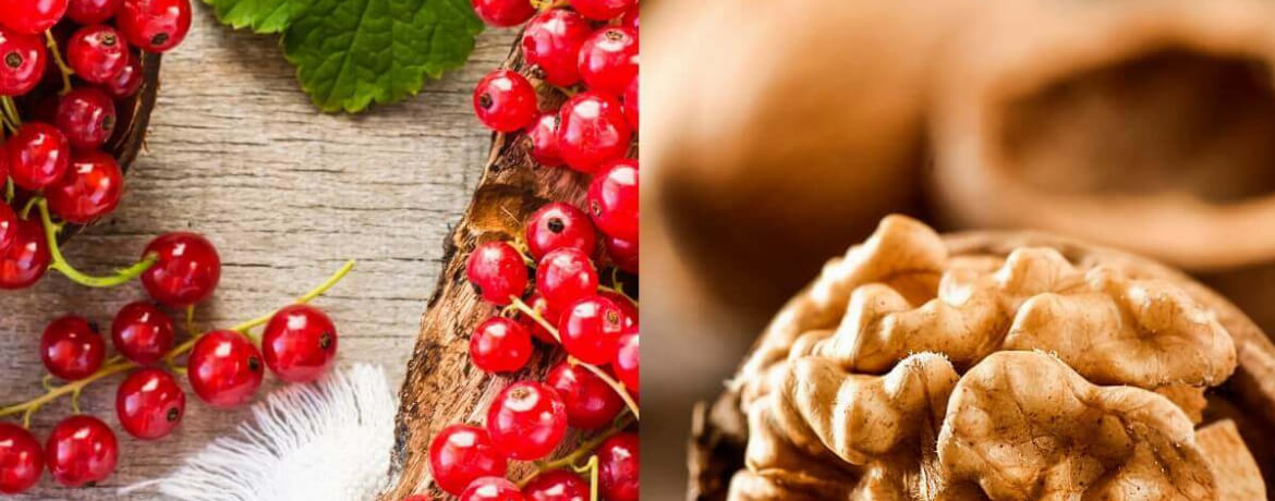 rote Johannisbeeren + Walnüsse für 4 Personen von lidl-kochen.de