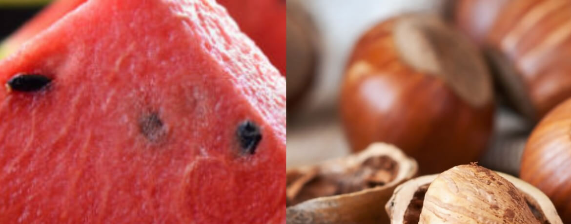 Wassermelone + Haselnüsse für 4 Personen von lidl-kochen.de