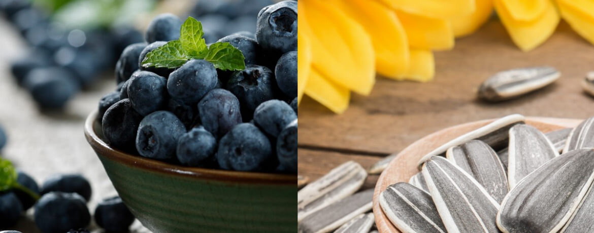 Blaubeeren + Sonnenblumenkerne für 4 Personen von lidl-kochen.de