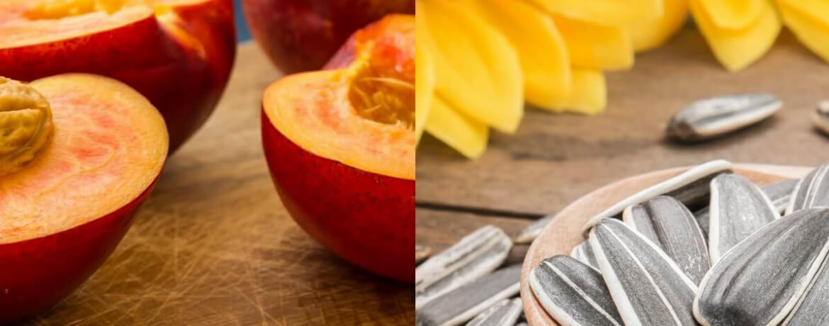 Nektarine + Sonnenblumenkerne für 4 Personen von lidl-kochen.de