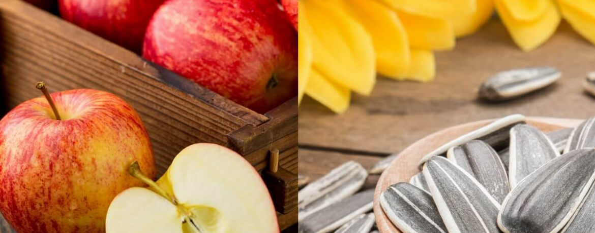 Apfel + Sonnenblumenkerne für 4 Personen von lidl-kochen.de