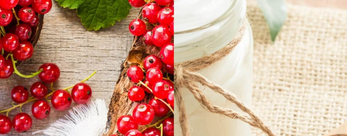 Rote Johannisbeeren + Naturjoghurt für 4 Personen von lidl-kochen.de