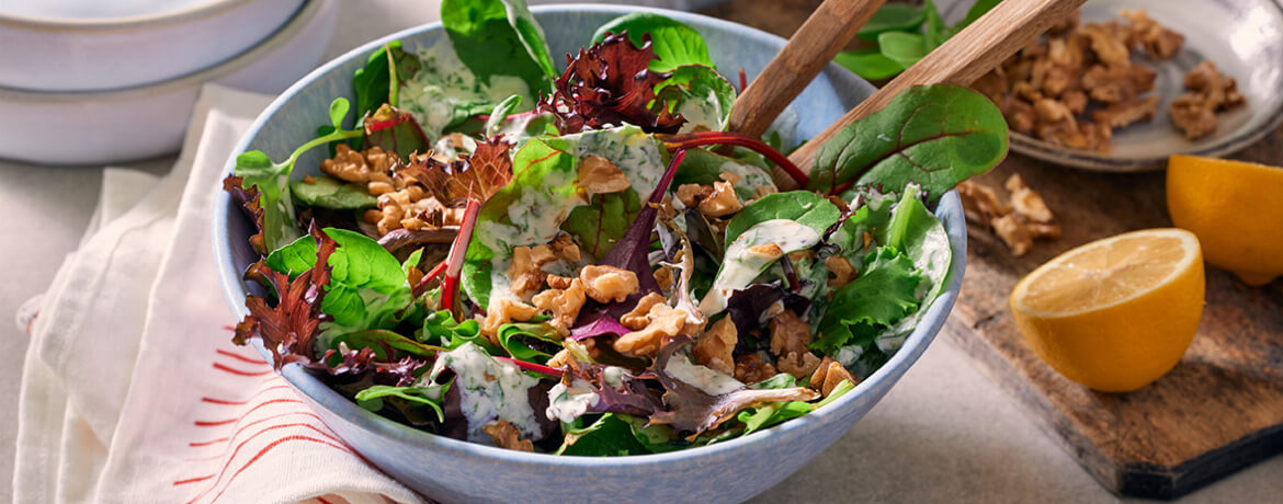 Salat mit Basilikum-Joghurt-Dressing - Rezept | LIDL Kochen