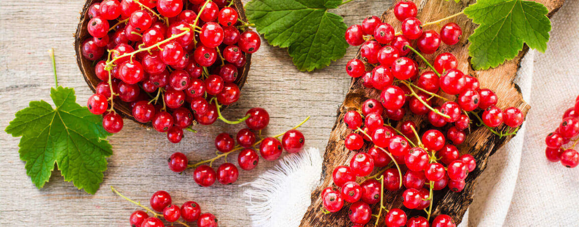 Rote Johannisbeeren für 4 Personen von lidl-kochen.de