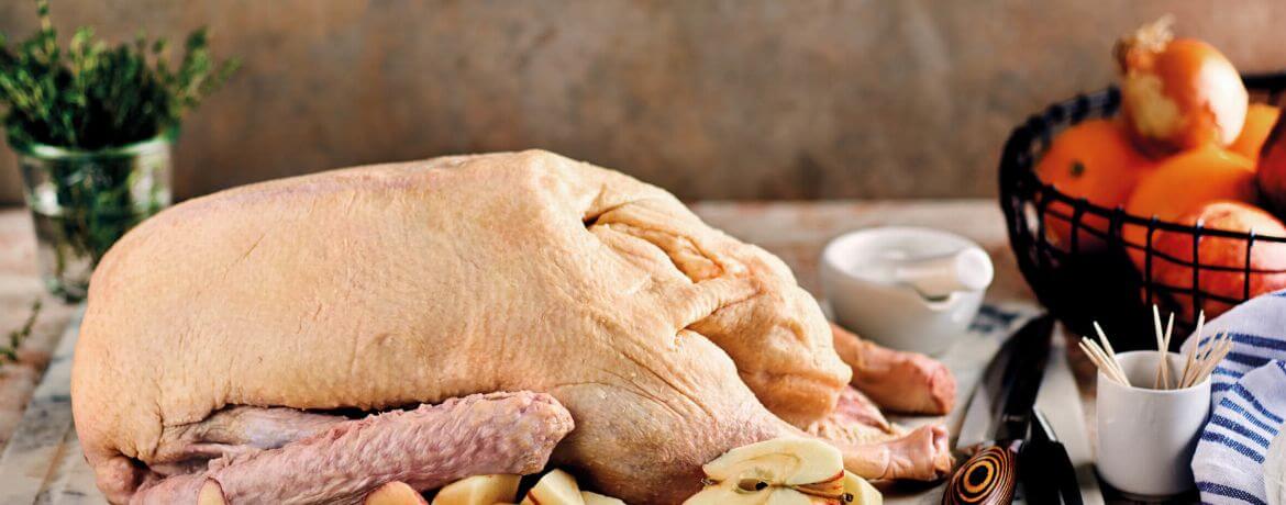 Gans vorbereiten für 1 Personen von lidl-kochen.de