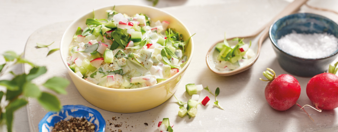 Radieschen-Gurken-Dip für 4 Personen von lidl-kochen.de