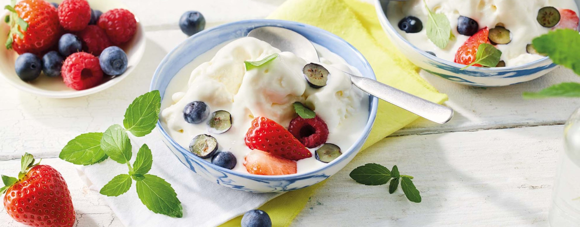 Zuckerfreier Frozen Yoghurt mit Beeren für 4 Personen von lidl-kochen.de