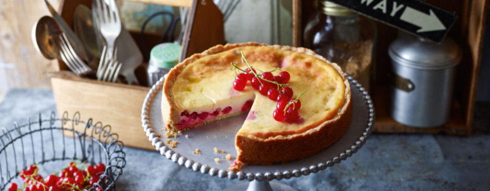 Käsekuchen mit Johannisbeeren Rezept LIDL Kochen