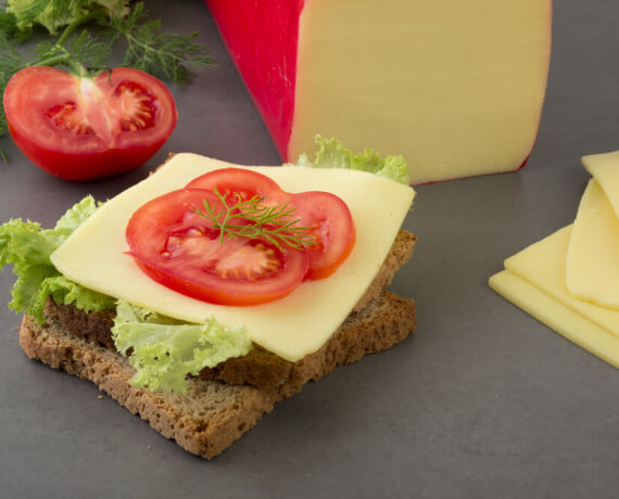 Käse-Toast mit Tomaten