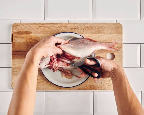 Dies ist Schritt Nr. 2 der Anleitung, wie man das Rezept Dorade oder Rotbrasse filetieren zubereitet.