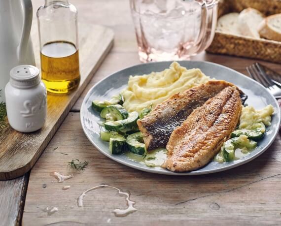 Gebratene Saiblingsfilets mit Schmorgurken und Kartoffelpüree