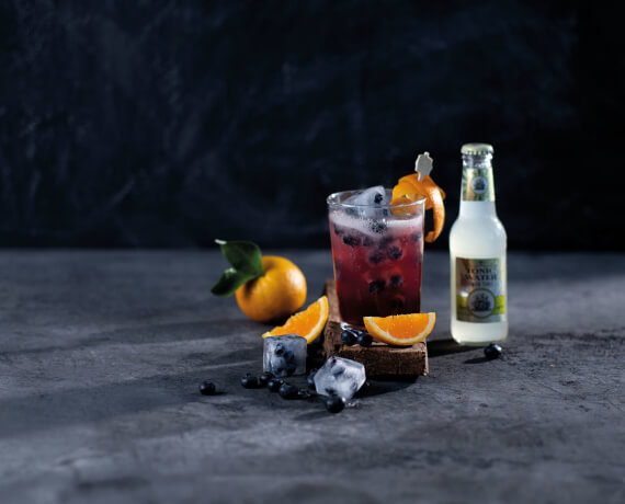 Alkoholfreier Longdrink mit Tonic Water